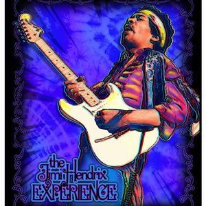 Jimi Hendrix In Concert Blanket ~ Officially Licensed ~ 50" x 60" ~ Brand New!